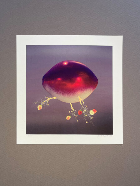 Strawberry lemon art print with copper folio