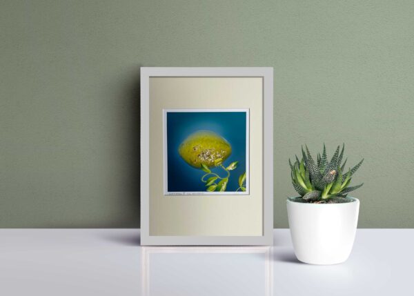 Lemon energy I art print - Image 2