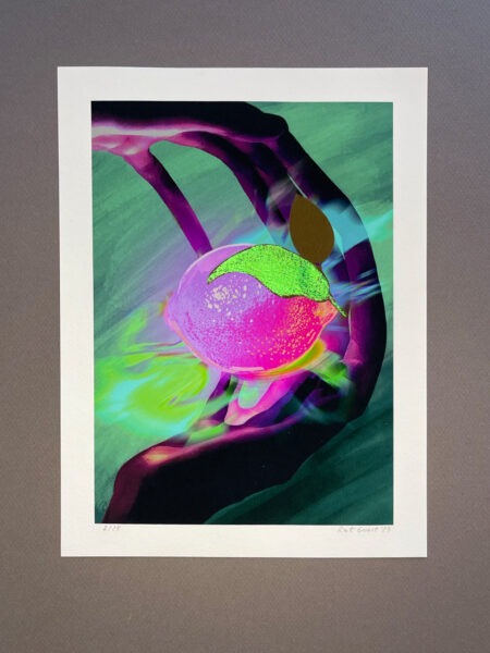 colourful art print green folio added by hand